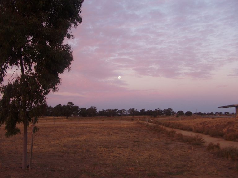 Round Up Maze, Hay, New South Wales, 2005 – twilight at site of commission