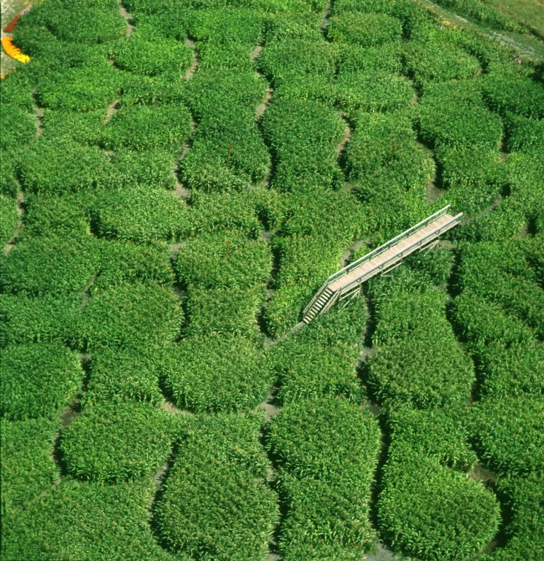 55 Ring Maze, Mornington Peninsula, Victoria, 2000