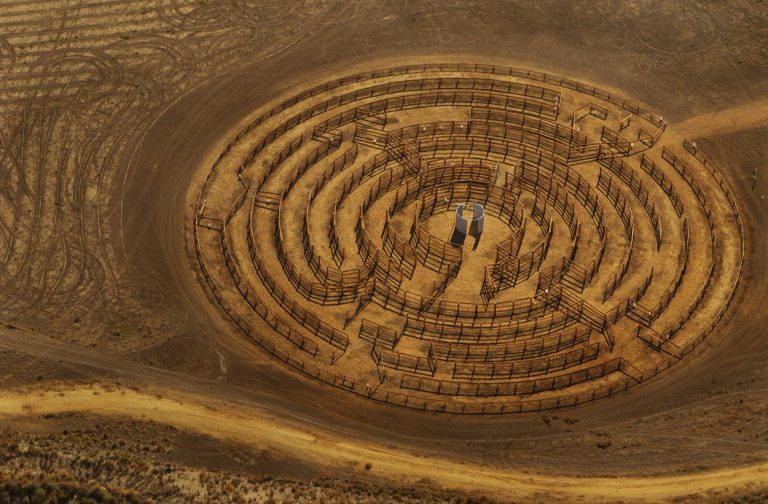 Round Up Maze, Hay, New South Wales, 2005