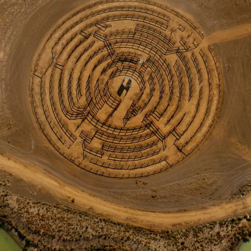 Round Up Maze