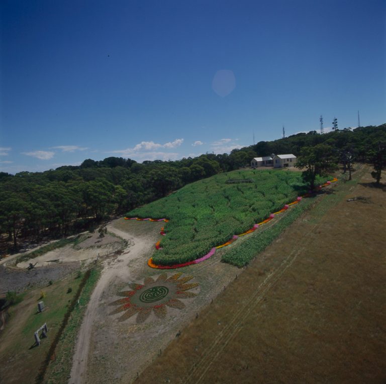 55 Ring Maze, Mornington Peninsula, Victoria, 2000
