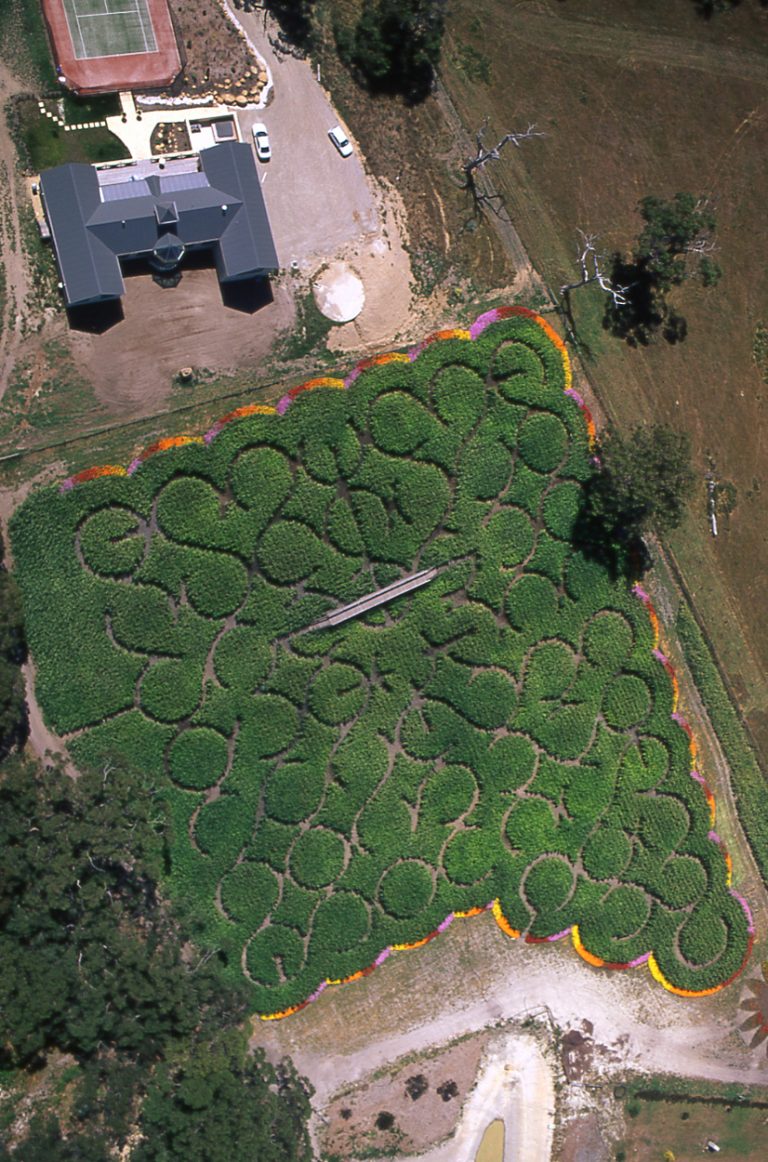 55 Ring Maze, Mornington Peninsula, Victoria, 2000