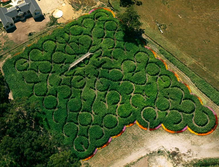 55 Ring Maze, Mornington Peninsula, Victoria, 2000