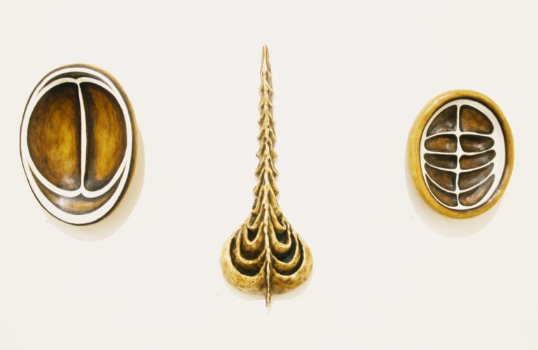 Enigma Suite: Artifacts 1-20 (detail)