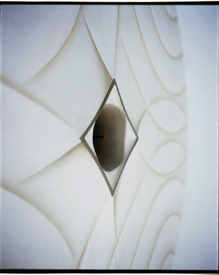 Florette: No. 2 (detail view)
